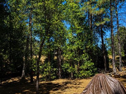4701 Vogelsang Ln, Placerville, CA 95667 Photo