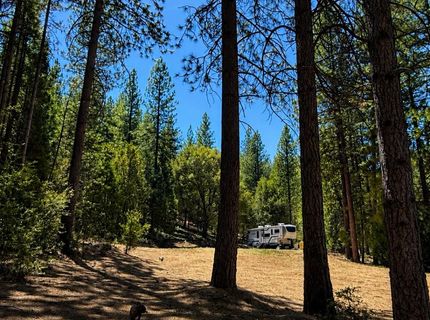 4701 Vogelsang Ln, Placerville, CA 95667 Photo