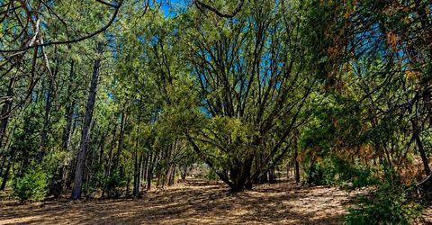 4701 Vogelsang Ln, Placerville, CA 95667 Photo
