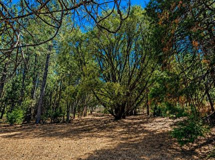 4701 Vogelsang Ln, Placerville, CA 95667 Photo
