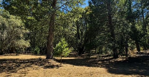 4701 Vogelsang Ln, Placerville, CA 95667 Photo