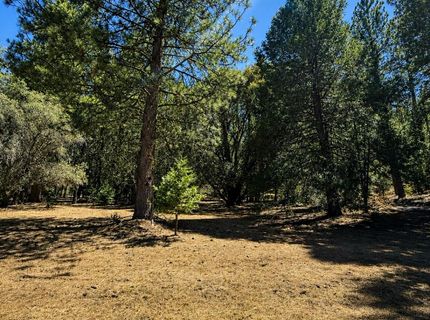 4701 Vogelsang Ln, Placerville, CA 95667 Photo