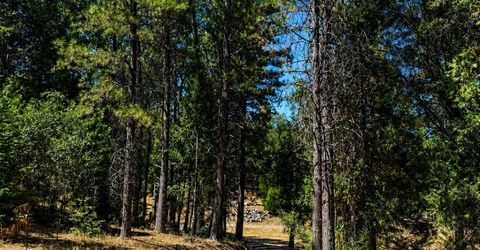 4701 Vogelsang Ln, Placerville, CA 95667 Photo