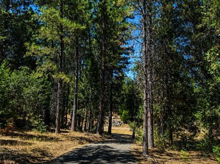 4701 Vogelsang Ln, Placerville, CA 95667 Photo