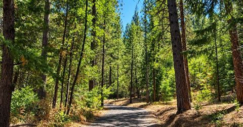 4701 Vogelsang Ln, Placerville, CA 95667 Photo