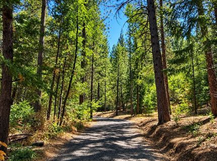 4701 Vogelsang Ln, Placerville, CA 95667 Photo