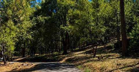 4701 Vogelsang Ln, Placerville, CA 95667 Photo