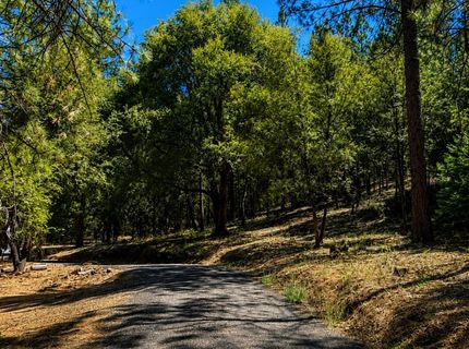 4701 Vogelsang Ln, Placerville, CA 95667 Photo