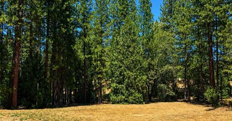4701 Vogelsang Ln, Placerville, CA 95667 Photo