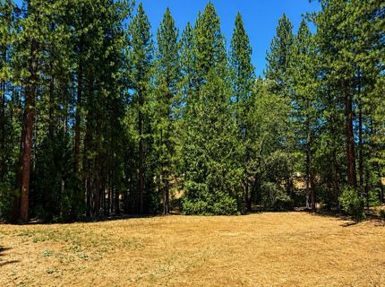 4701 Vogelsang Ln, Placerville, CA 95667 Photo