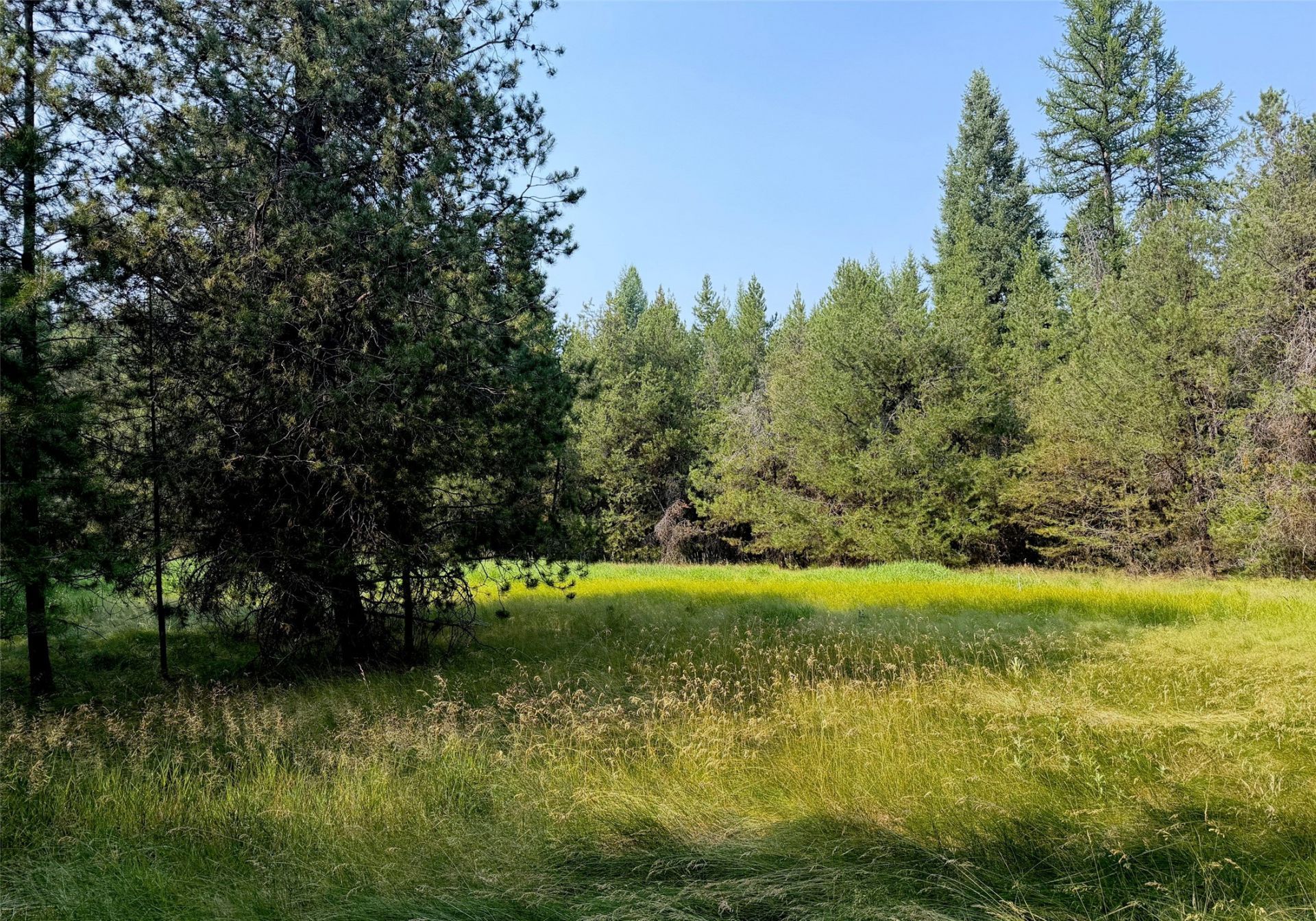 950 Lodgepole Drive , Marion, MT 59925 Main Photo