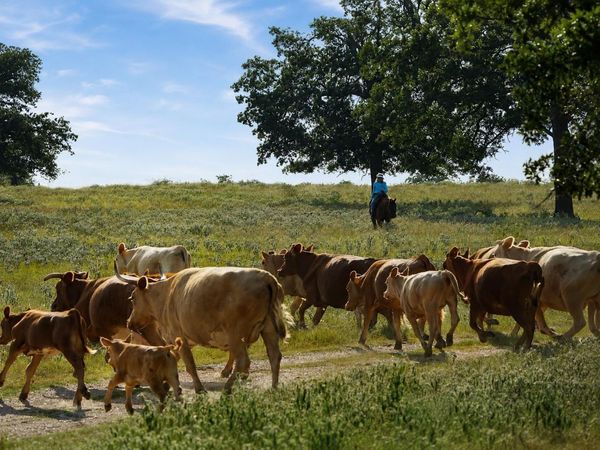 4504 State Highway 304, Rosanky, TX 78953