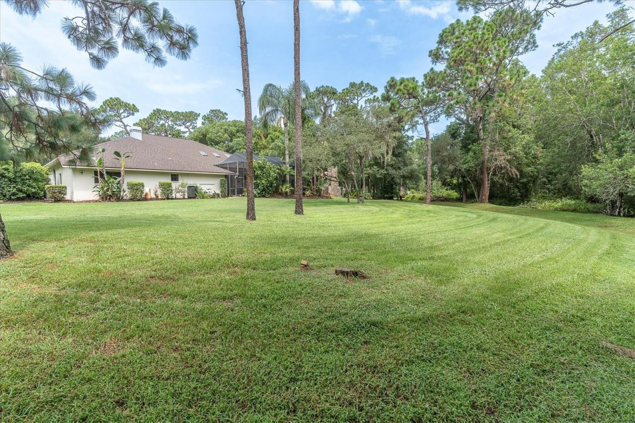 5328 Macoso Court, New Port Richey, FL 34655 Photo