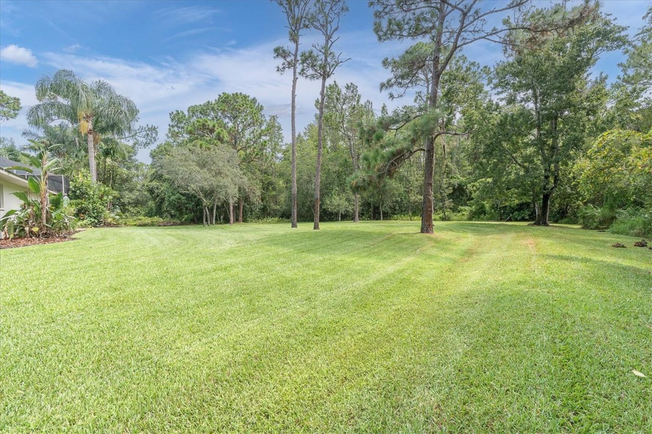5328 Macoso Court, New Port Richey, FL 34655 Photo