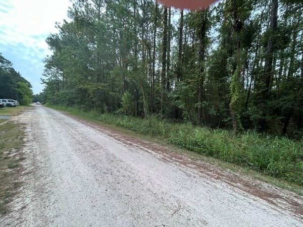 0 Highway 188, Coden, AL 36523