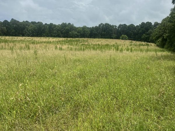 TBD Scr 1, Taylorsville, MS 39168