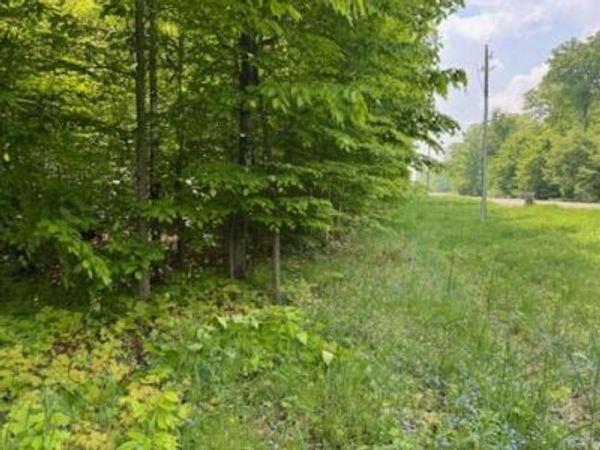 lot 1 plus Co. Rd 98 & co rd 479, McMillan, MI 49853