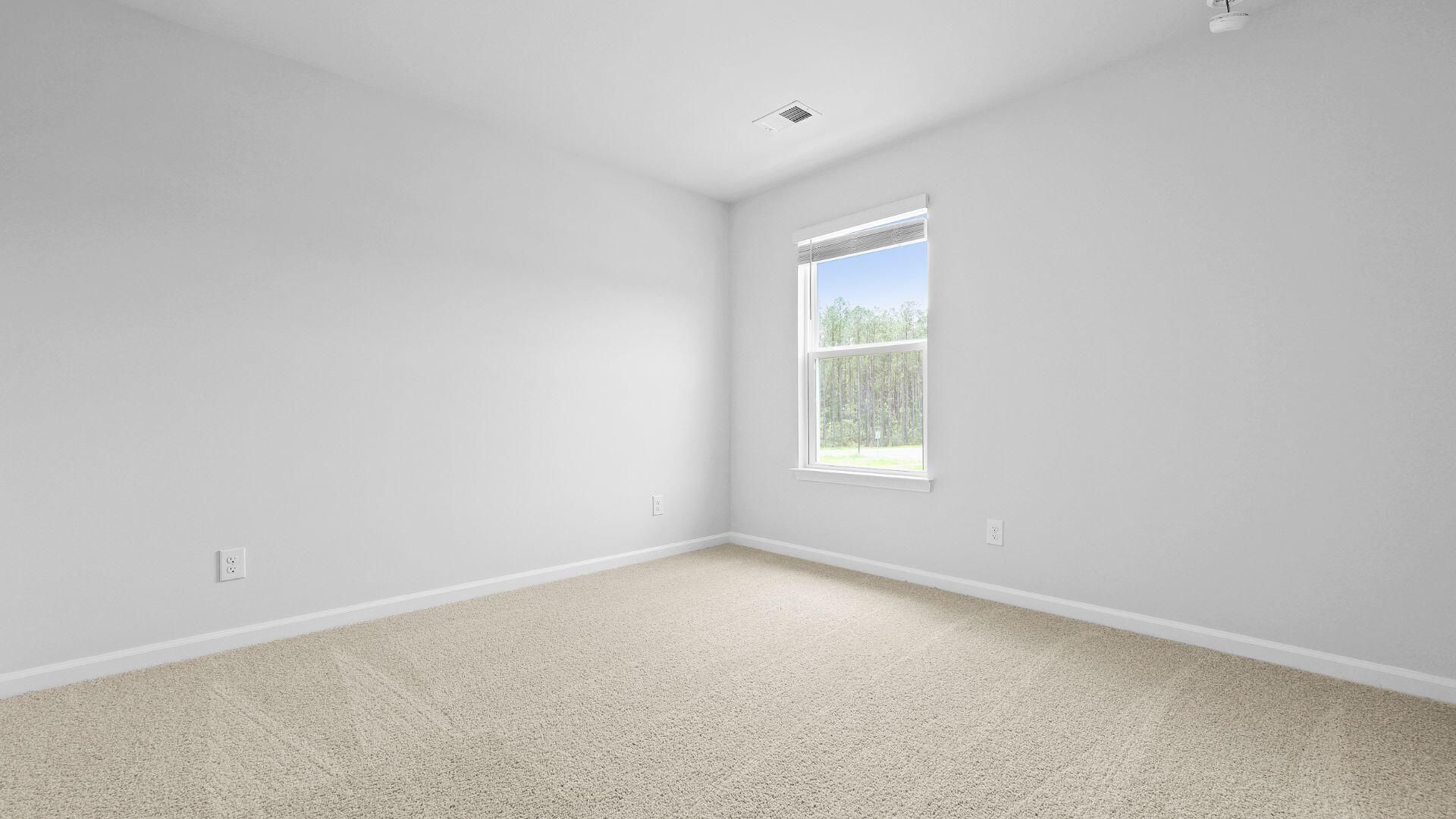 229 Beebalm Lane Photo 38