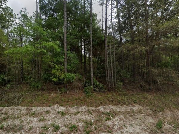 NE 821ST STREET , OLD TOWN, FL 32680