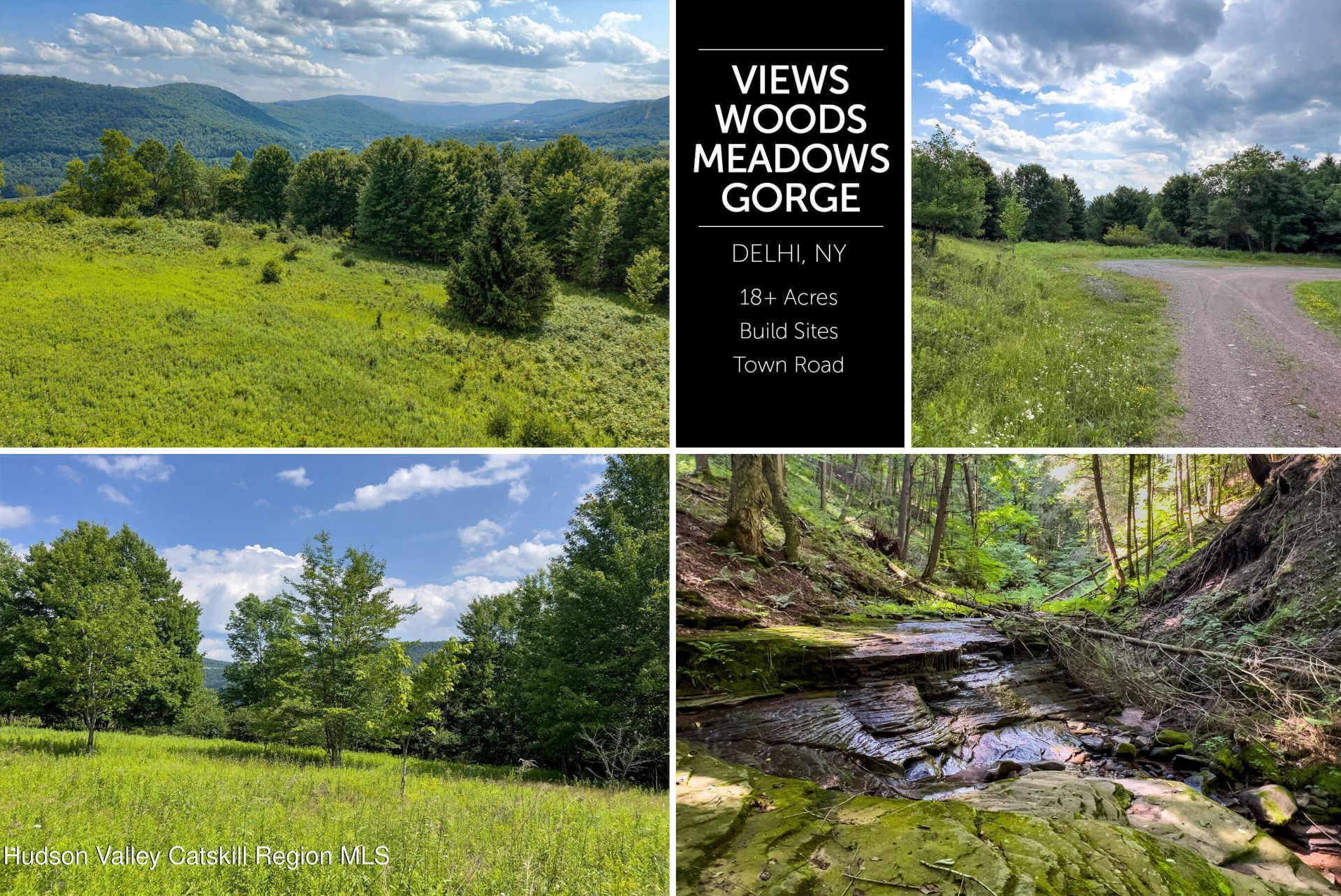 Lot 23 Lynch Road, Delhi, NY 13753 Main Photo