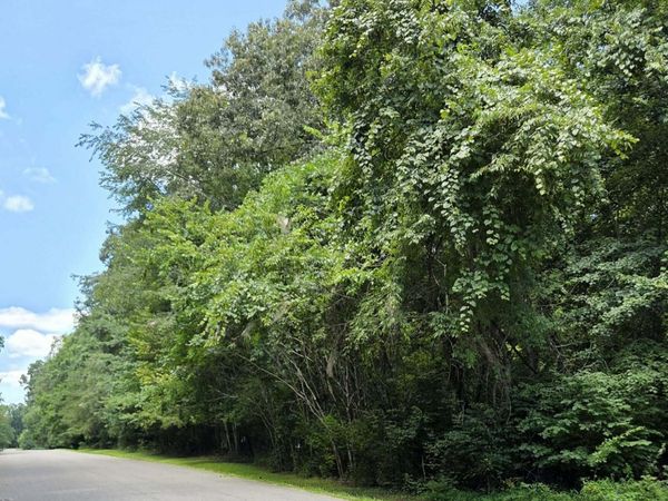 Carrie Drive, Crossville, TN 38572