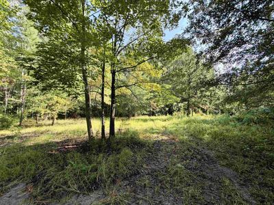50.5 Acres Epps Rd. , New Zion, SC 29111