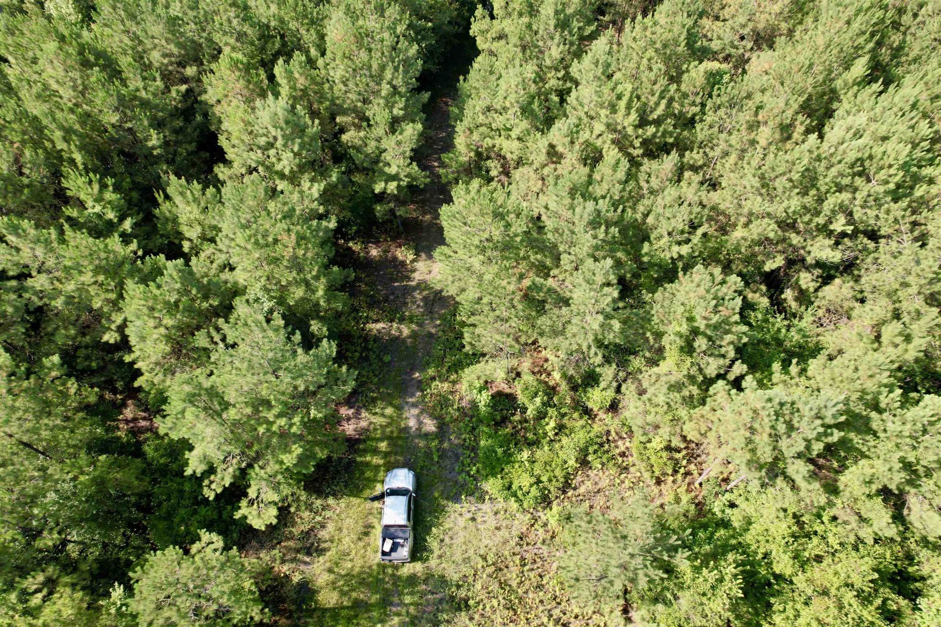 50.5 Acres Epps Rd.  Photo 11