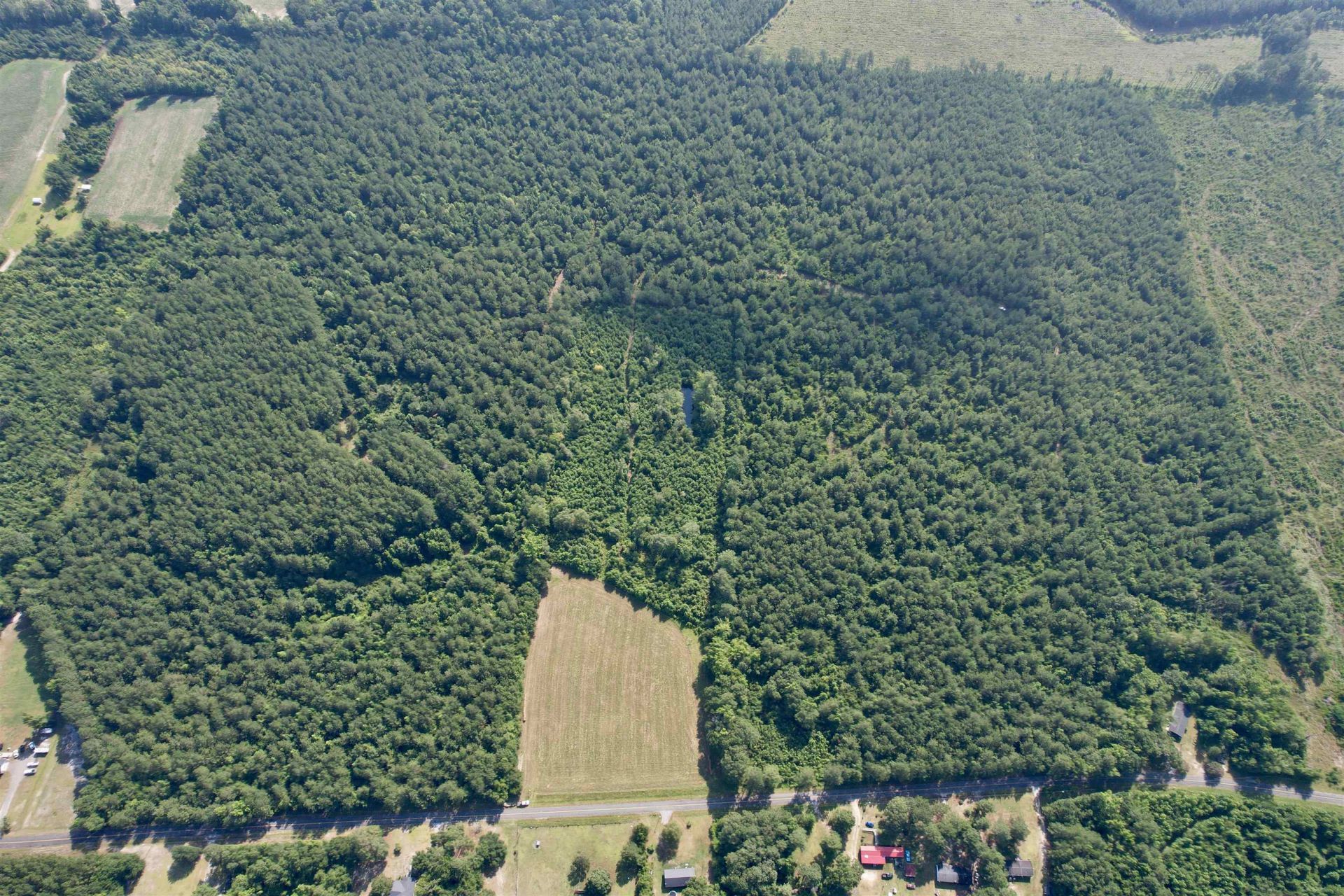 50.5 Acres Epps Rd.  Photo 13