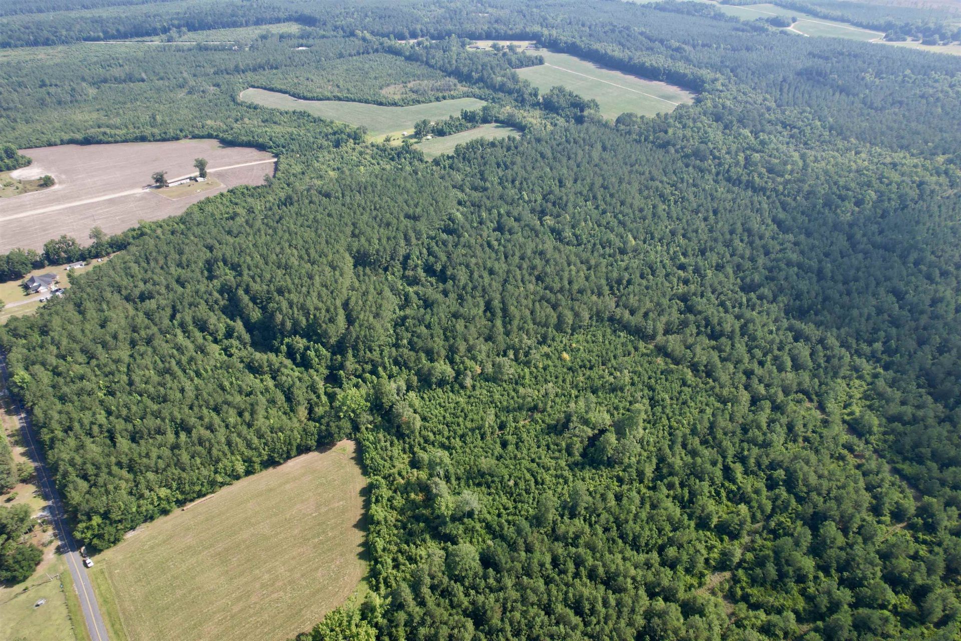 50.5 Acres Epps Rd.  Photo 15