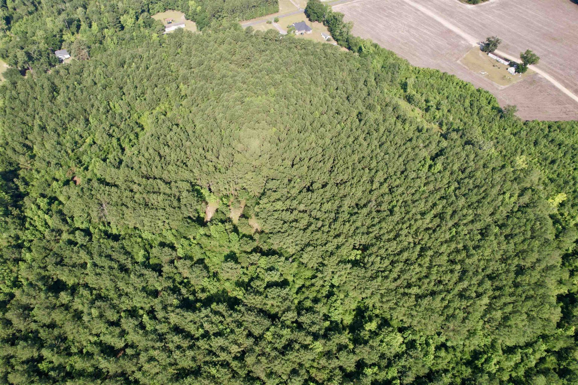 50.5 Acres Epps Rd.  Photo 17