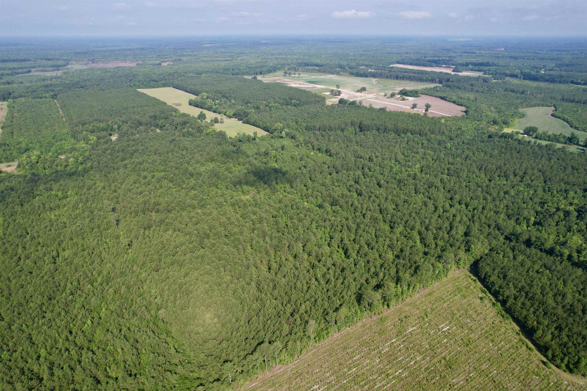 50.5 Acres Epps Rd.  Photo 19