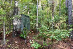 50.5 Acres Epps Rd.  photo 4