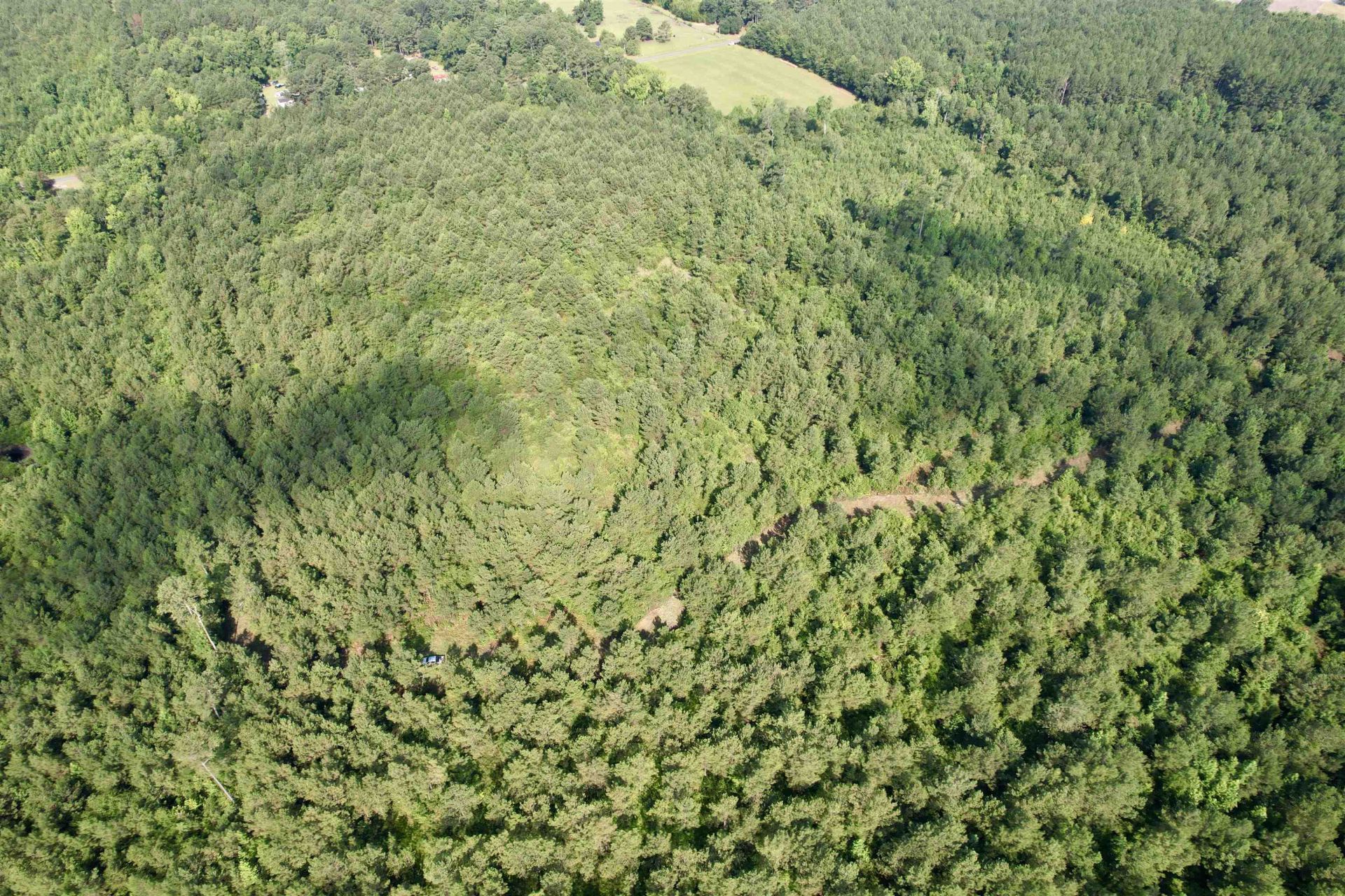 50.5 Acres Epps Rd.  Photo 20
