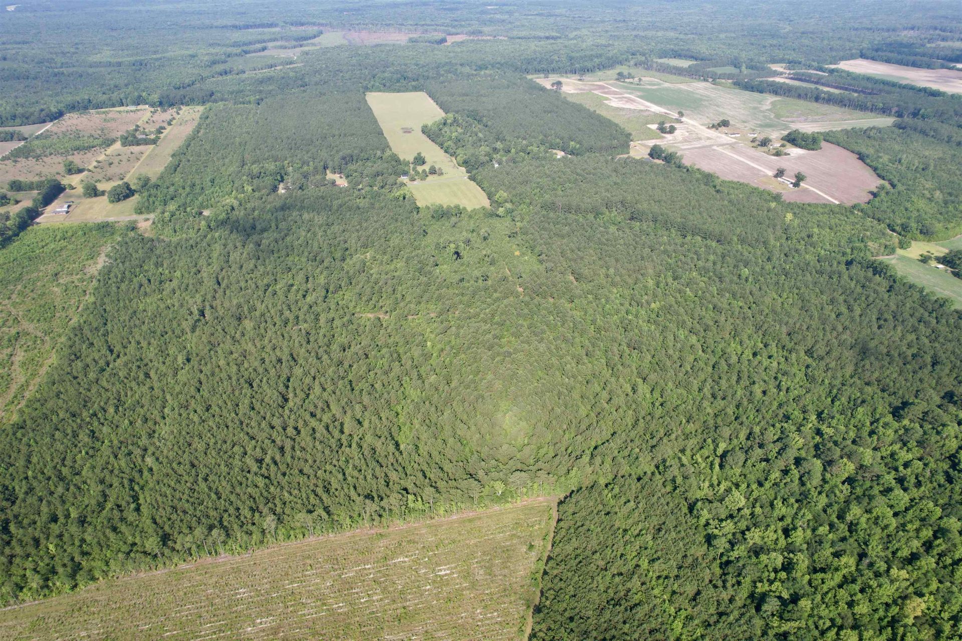 50.5 Acres Epps Rd.  Photo 21