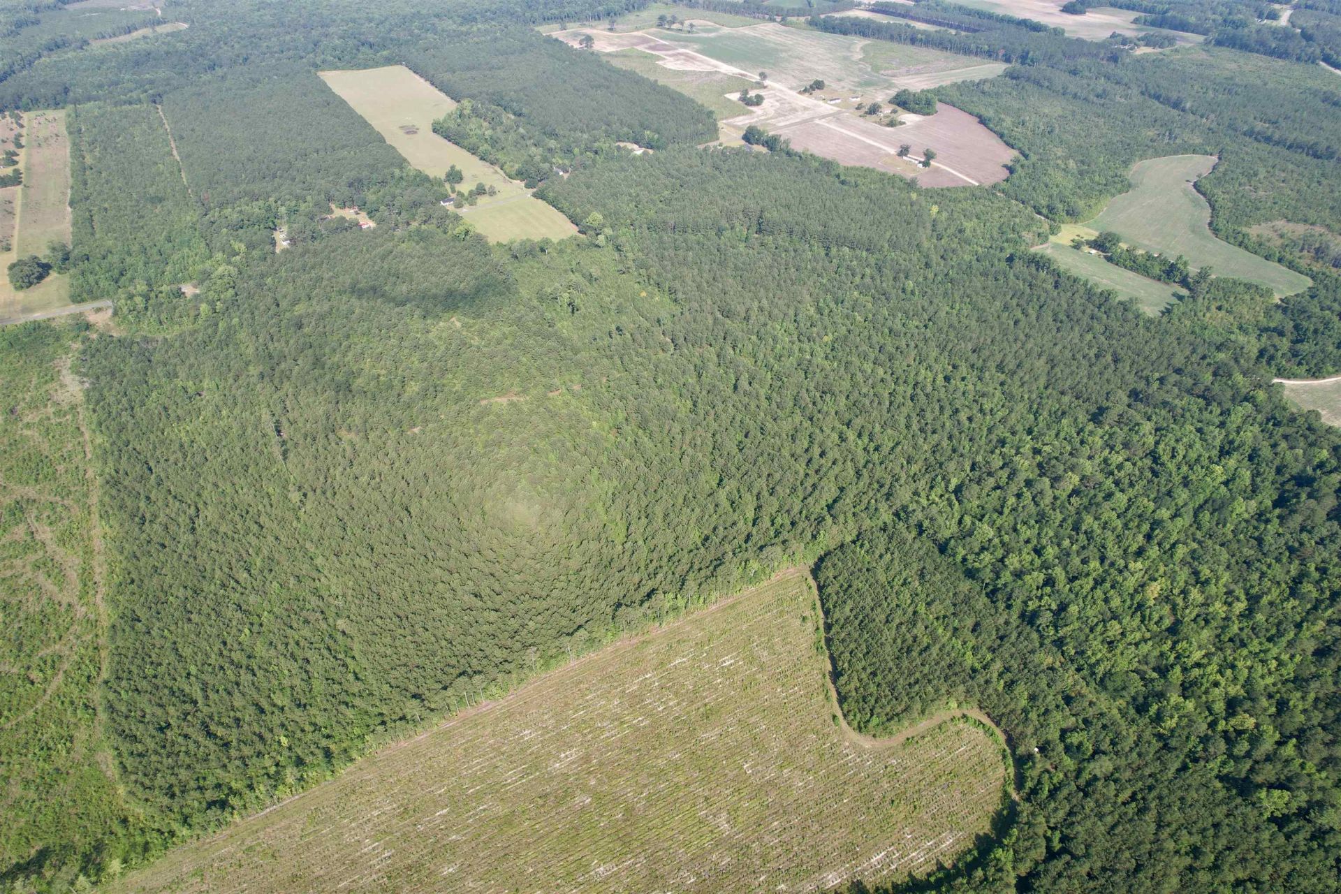 50.5 Acres Epps Rd.  Photo 22