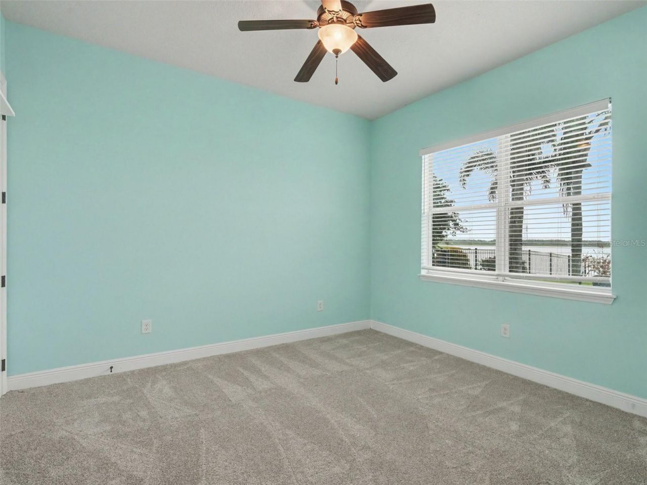 11323 Lake Lucaya Drive, Riverview, FL 33579 Photo