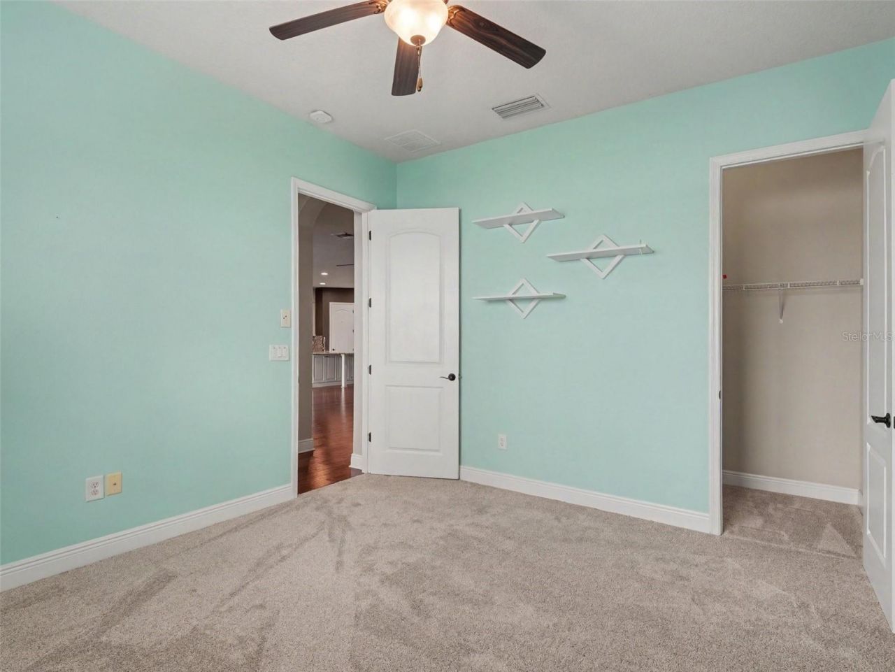 11323 Lake Lucaya Drive, Riverview, FL 33579 Photo
