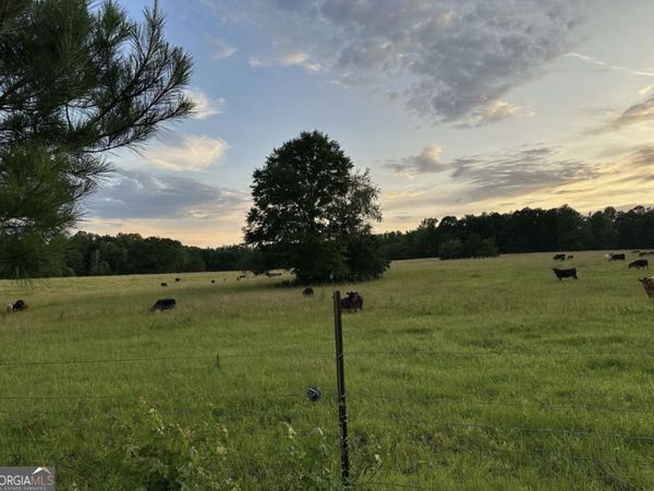 4091 Hollonville Rd, Williamson, GA 30292