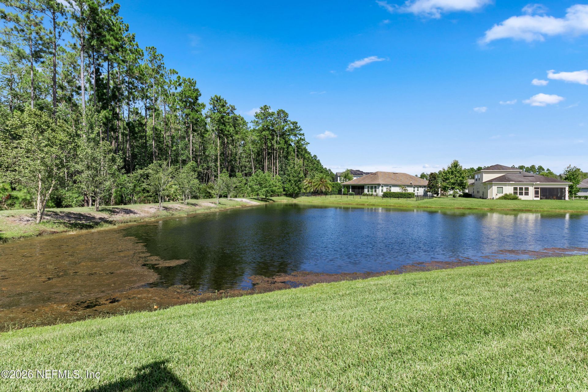 397 Lakeview Pass Way, Saint Johns, FL 32259 Photo