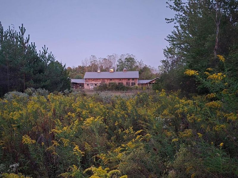 5441 Cheshire Road, Galena, OH 43021 Photo 29