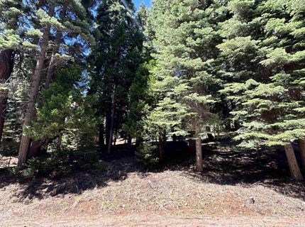 721 Pine Canyon Road, Lake Almanor, CA 96137 Photo