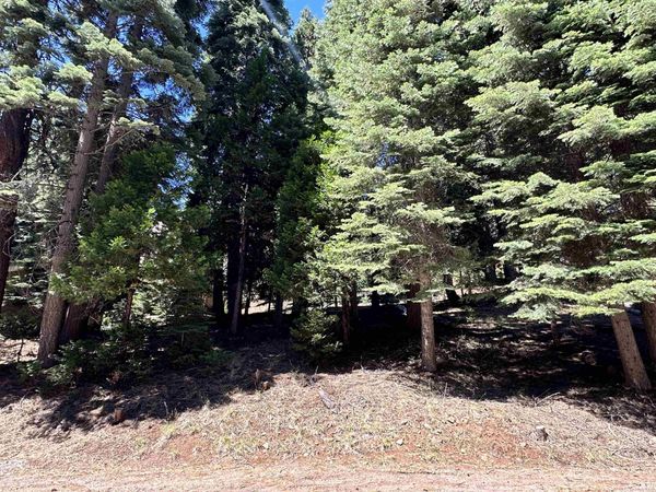 721 Pine Canyon Road, Lake Almanor, CA 96137