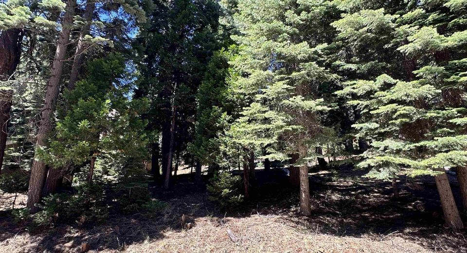 721 Pine Canyon Road, Lake Almanor, CA 96137 Photo