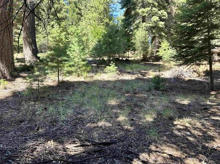 721 Pine Canyon Road, Lake Almanor, CA 96137 Photo