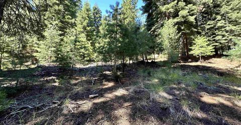 721 Pine Canyon Road, Lake Almanor, CA 96137 Photo