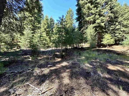 721 Pine Canyon Road, Lake Almanor, CA 96137 Photo