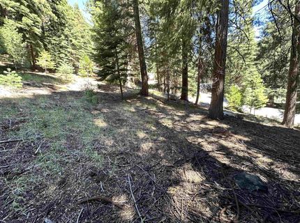 721 Pine Canyon Road, Lake Almanor, CA 96137 Photo