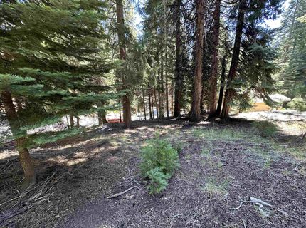 721 Pine Canyon Road, Lake Almanor, CA 96137 Photo