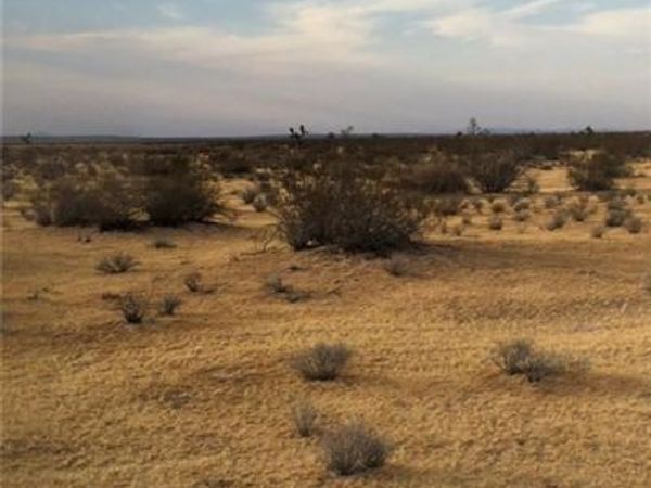 0 Hills Road , Adelanto, CA 92301