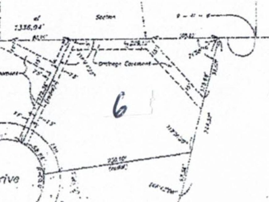 Main Photo